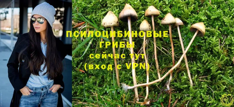 Псилоцибиновые грибы MAGIC MUSHROOMS  Саранск 